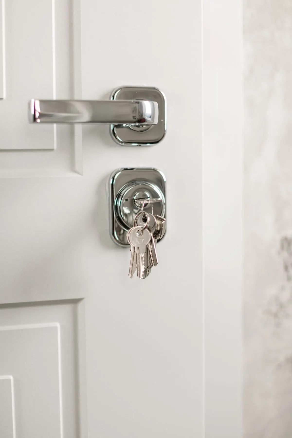 Door handle and cylinder lock with keys